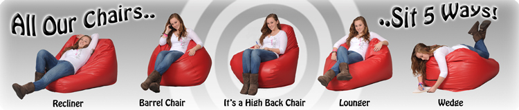 Bean Bag Chairs Sit 5 Ways
