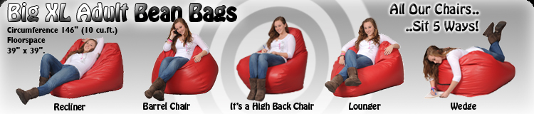 Beanbag sits 5 ways