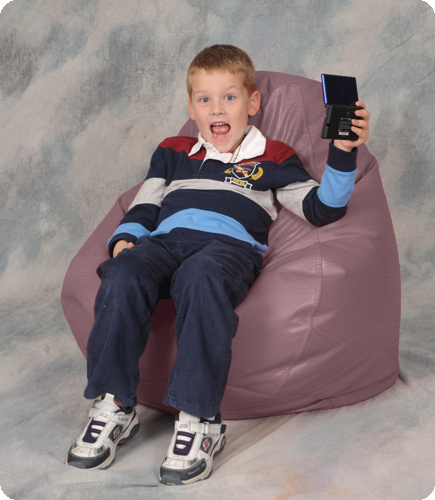 Mauve Youth Beanbag