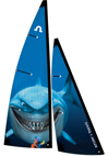 Soling 1M Shark