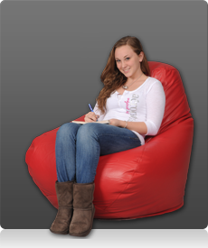 Large Bean Bag Chair in Red