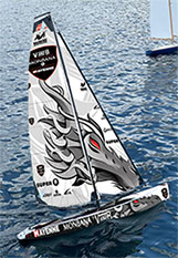 Dragon Flite 95 Sails Examples
